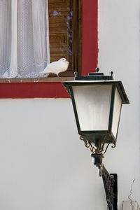 Close-up of bird perching on street light against wall