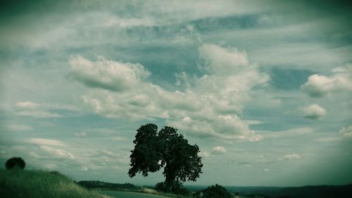 Scenic view of landscape against cloudy sky