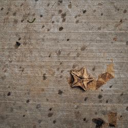 High angle view of christmas decorations on wood