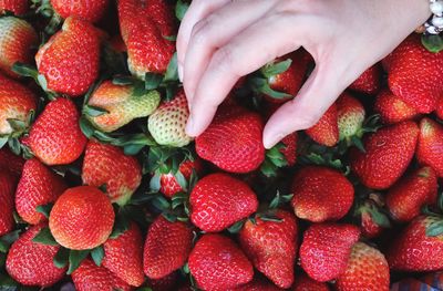 Close-up of strawberries