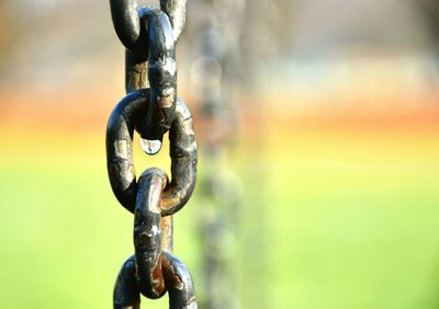 Close-up of chain