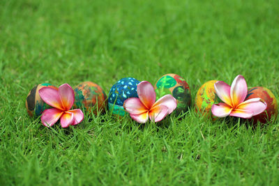 Close-up of colorful easter eggs on green grass background. 