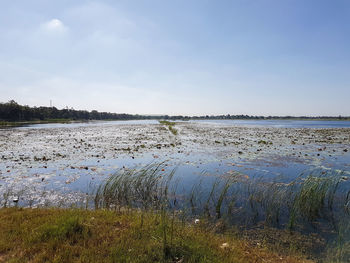 Scenic view of lake against sky