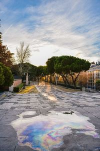 Trees against cloudy sky