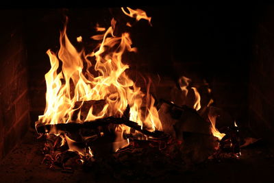 Close-up of bonfire at night