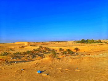 Desert and blue sky in algeria