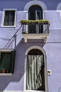 Potted plant on balcony of building