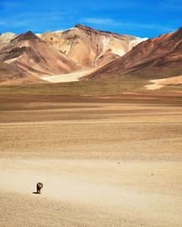 Scenic view of desert against sky