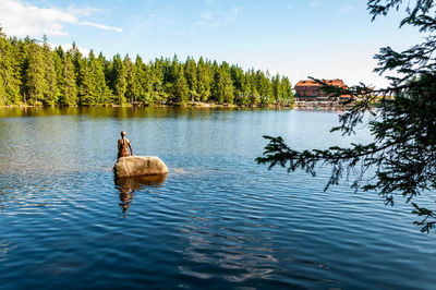 Ducks in a lake