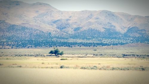 Scenic view of mountains