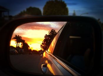 Reflection of trees in side-view mirror