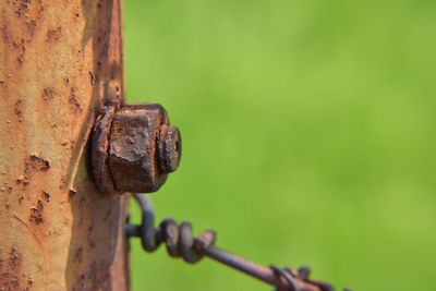 Close-up of rusty metal