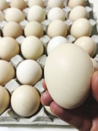 Close-up of hand holding eggs over carton