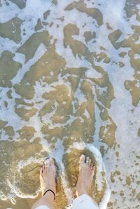 Low section of woman standing in water
