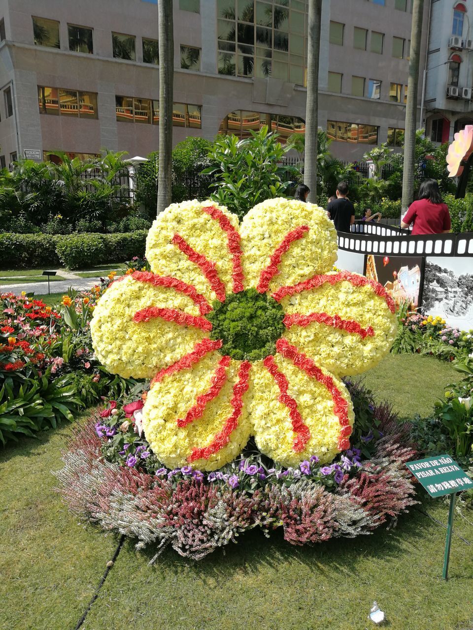 CLOSE-UP OF FLOWERING PLANT IN YARD