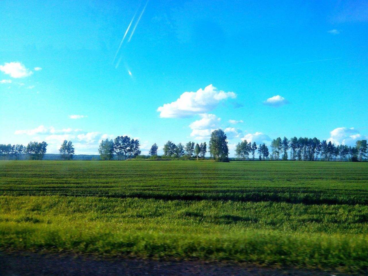 field, nature, grass, landscape, beauty in nature, agriculture, tranquil scene, tranquility, scenics, sky, blue, growth, tree, day, no people, outdoors, rural scene