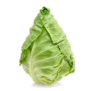 Close-up of green leaf against white background