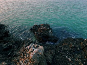 High angle view of rock formation in sea