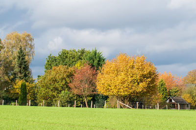 Trees growing on field against sky during autumn