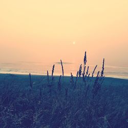 Silhouette people standing on beach against clear sky during sunset