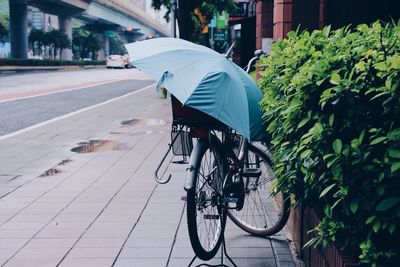 Man with bicycle in city