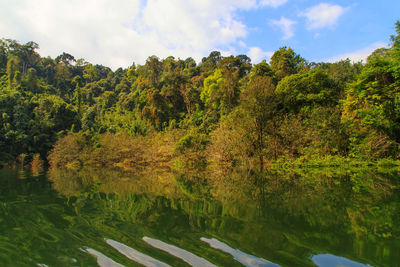 Scenic view of lake in forest against sky