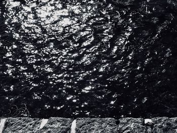 Low angle view of trees in the forest