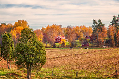 Trees on field against sky during autumn