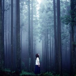 Rear view of people standing in forest