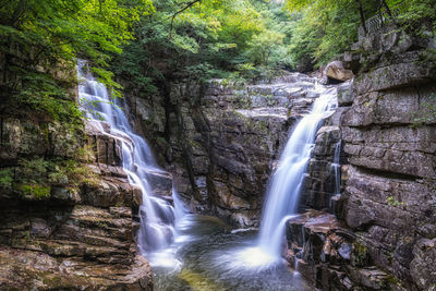 Scenic view of waterfall in forest