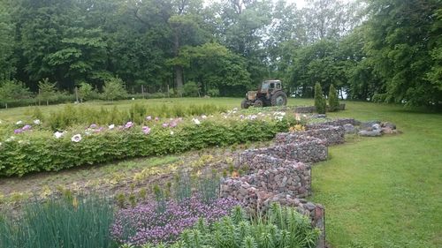 Scenic view of flowers and trees in park