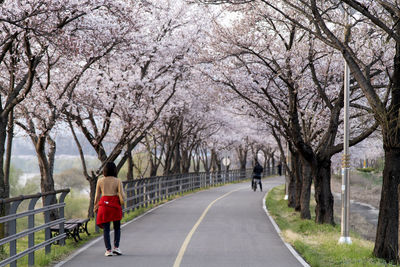 Rear view of woman walking on road