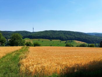 Scenic view of field against clear blue sky