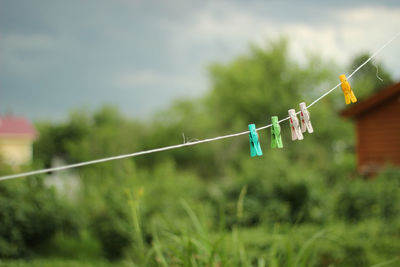 Close-up of clothespins hanging on rope against trees