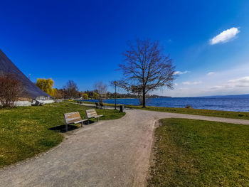 Footpath by trees on field against blue sky