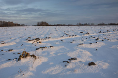 Scenic view of snow covered field against sky