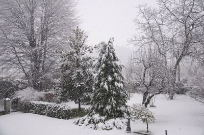 Scenic view of snow covered landscape