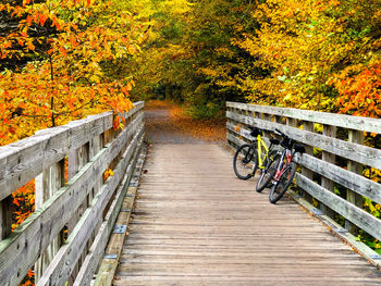 Two lonely bicycles along on the trail