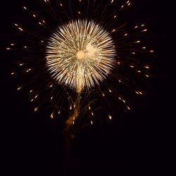 Low angle view of firework display at night