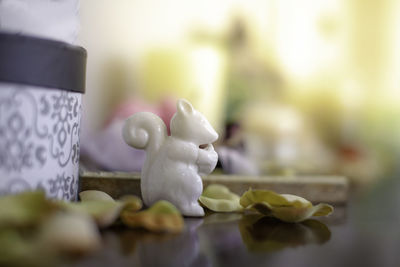 Close-up of white rose on table