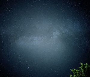 Scenic view of star field at night