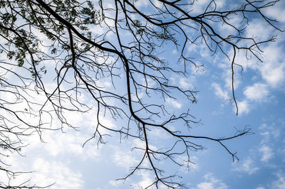 Low angle view of bare tree against cloudy sky