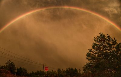Low angle view of rainbow over trees against cloudy sky