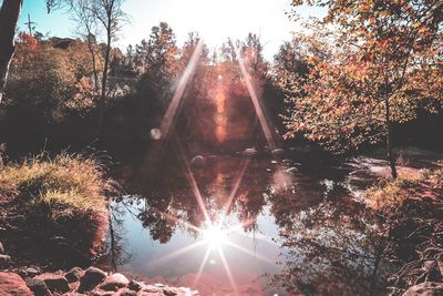 Silhouette trees against sky at night