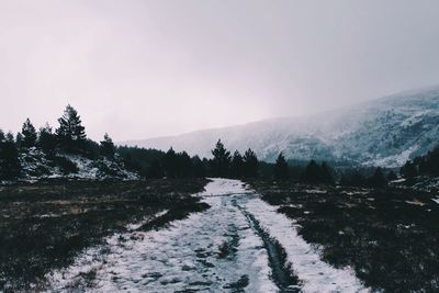 Scenic view of snow covered mountain