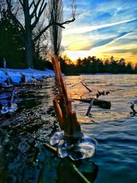 Scenic view of lake in forest during sunset