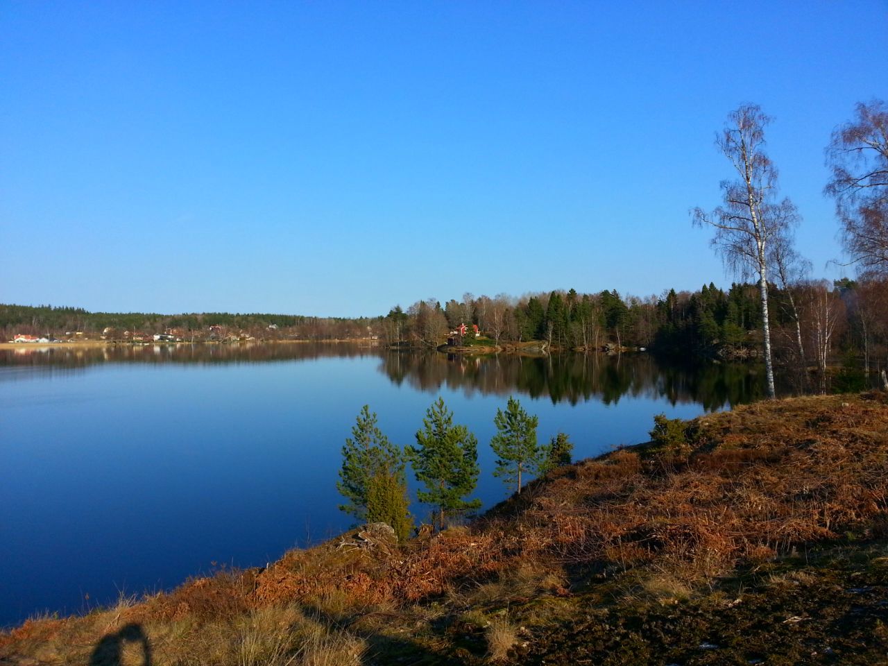 clear sky, water, blue, tranquility, tranquil scene, lake, reflection, tree, copy space, scenics, beauty in nature, nature, standing water, calm, idyllic, lakeshore, growth, non-urban scene, outdoors, river