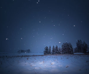 A beautiful, dark winter scenery while snowing. bright white snowflakes.