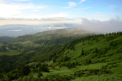 Scenic view of landscape against sky