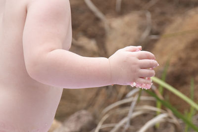 Close-up of hand holding plant
